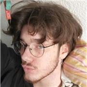 Professeur d'anglais pour tous niveaux (C1)